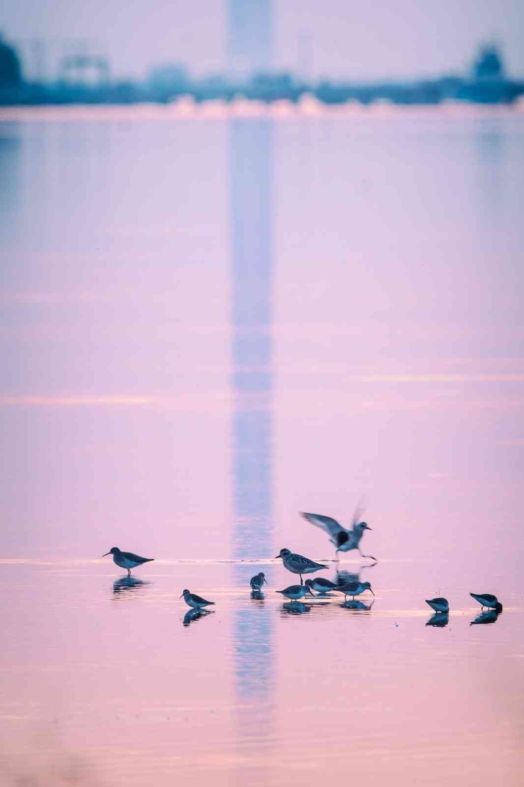 1915 Çanakkale Köprüsü’nde kartpostallık fotoğraflar