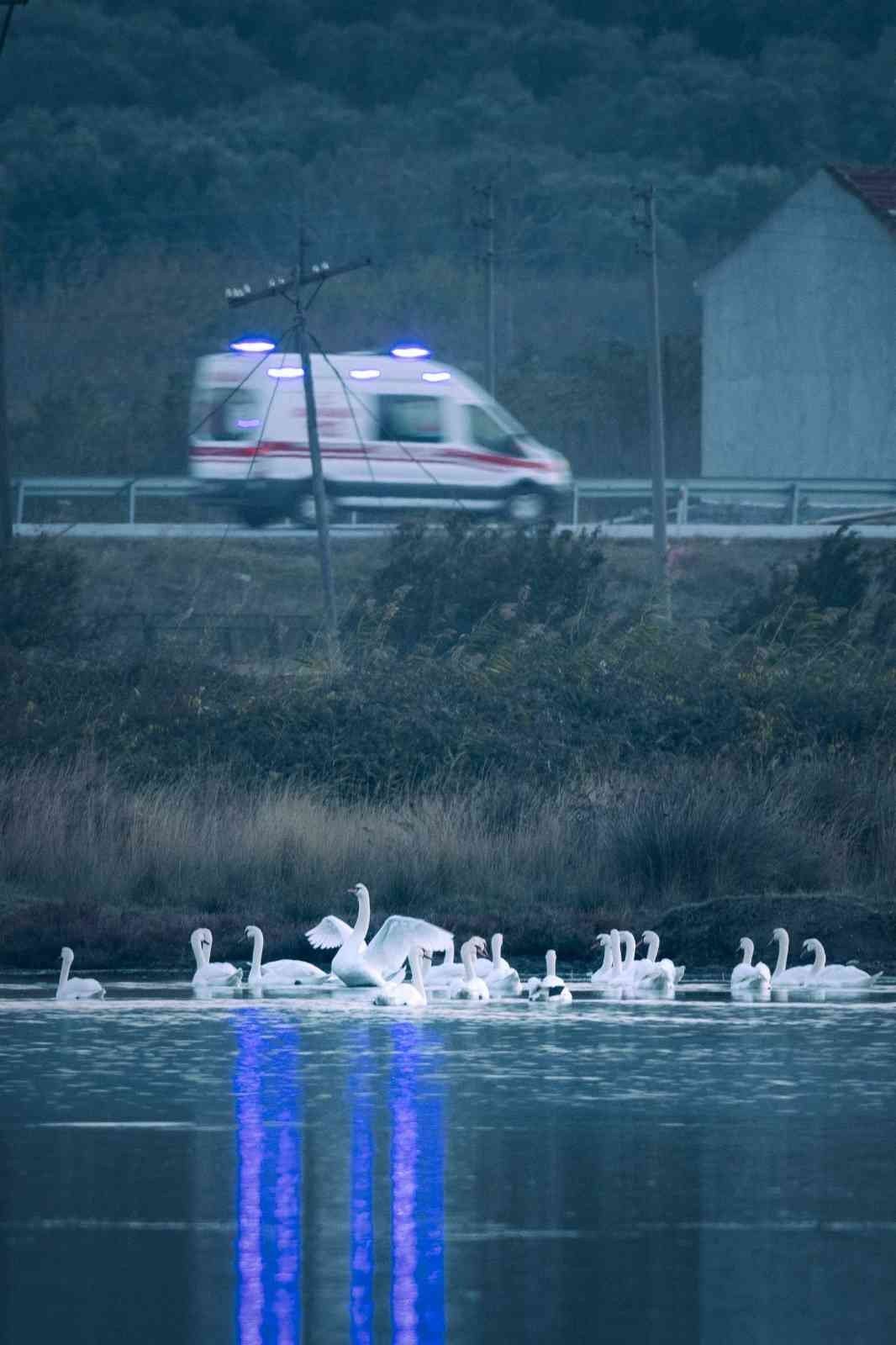 1915 Çanakkale Köprüsü’nde kartpostallık fotoğraflar