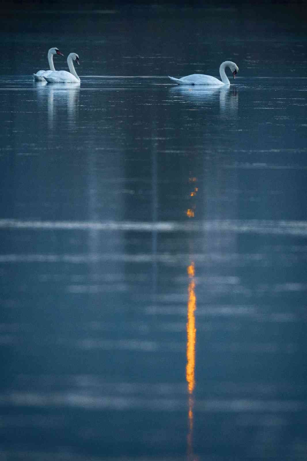 1915 Çanakkale Köprüsü’nde kartpostallık fotoğraflar
