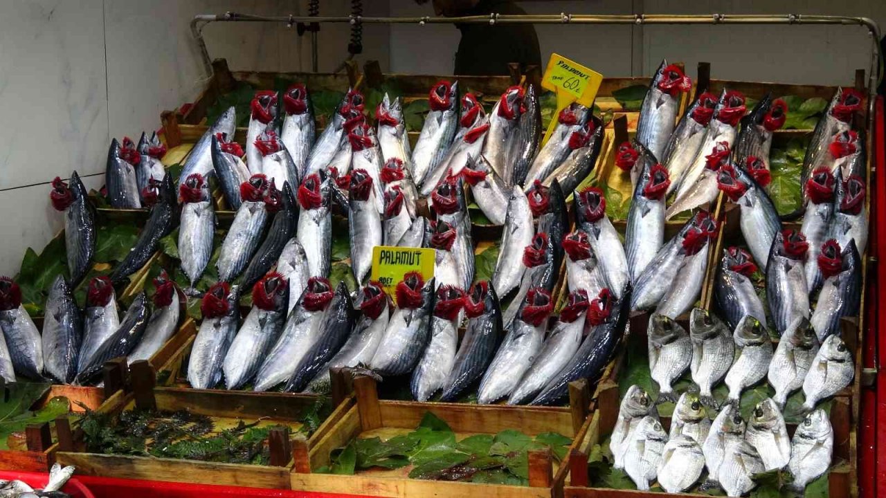 Palamudun bolluğu, hamsinin azlığına neden oldu