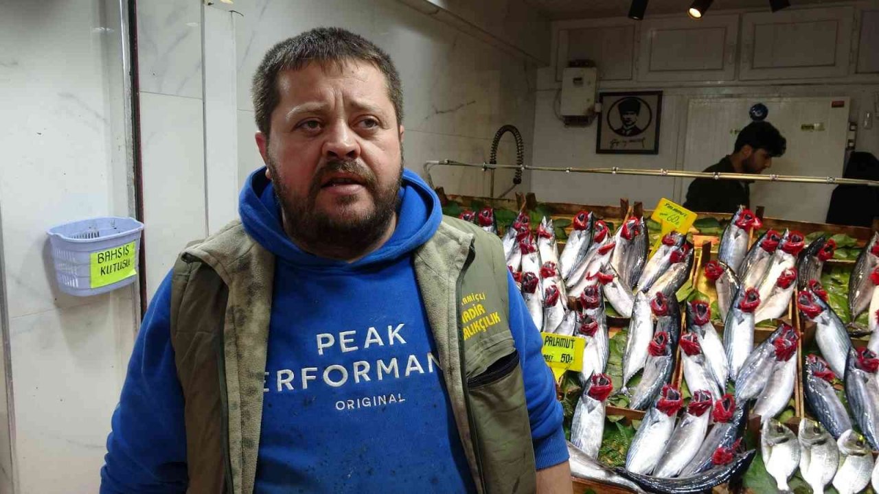 Palamudun bolluğu, hamsinin azlığına neden oldu