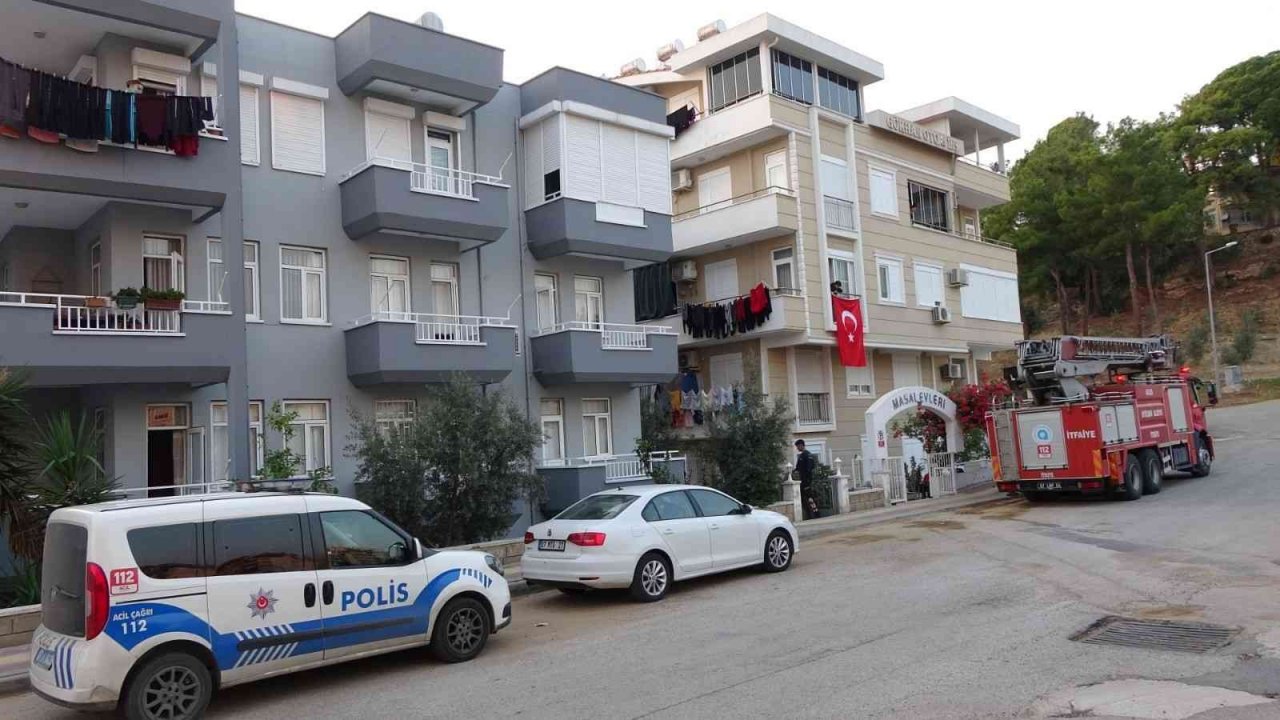 Cama çıkan kediler polisi ve itfaiyeyi alarma geçirdi