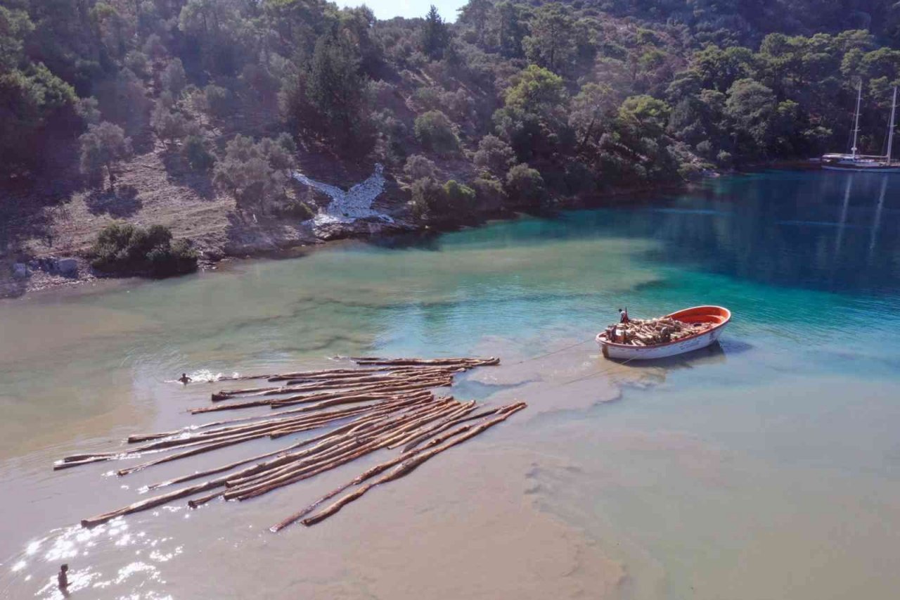 Karadan ulaşım yok, tomruklar denizden taşındı