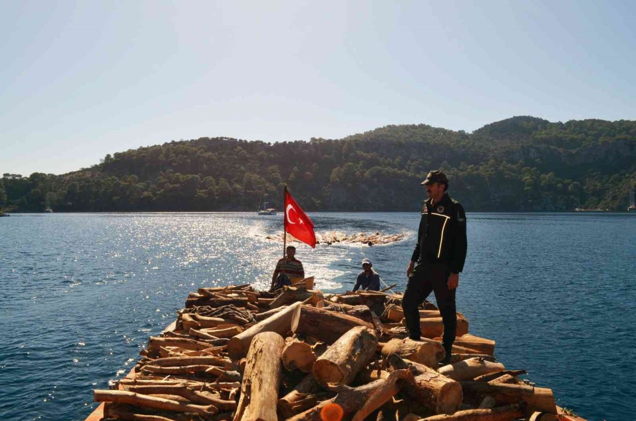 Karadan ulaşım yok, tomruklar denizden taşındı