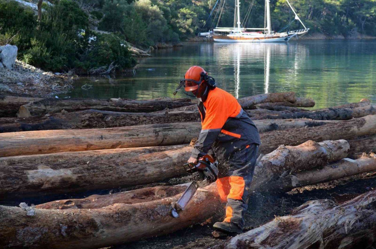 Karadan ulaşım yok, tomruklar denizden taşındı