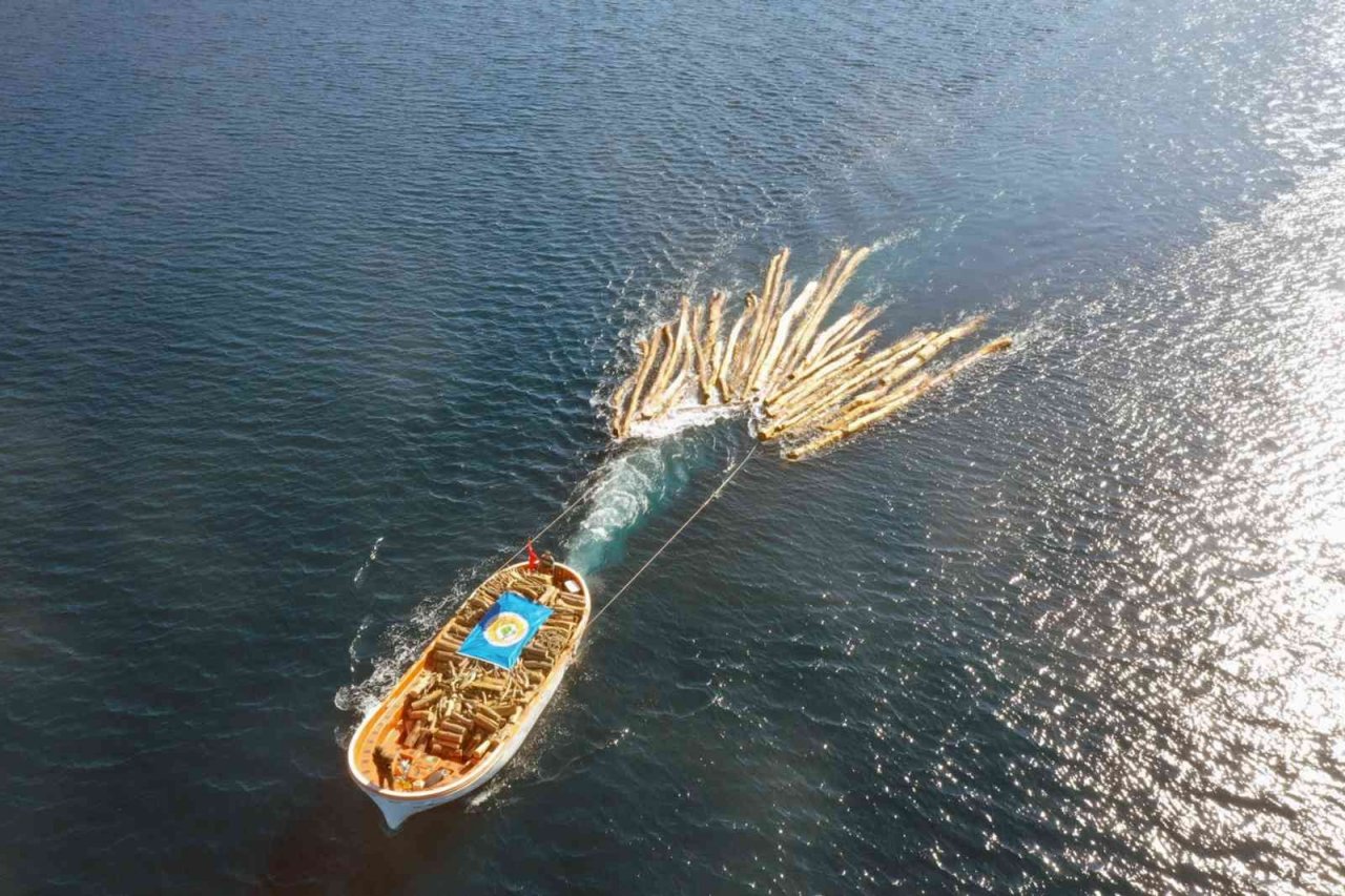 Karadan ulaşım yok, tomruklar denizden taşındı