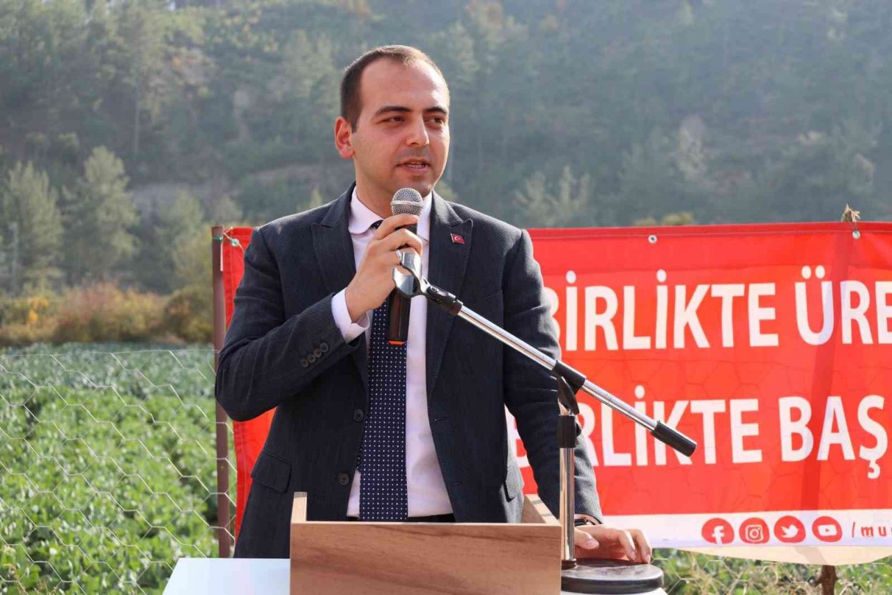 Muğla’da kışlık sebze üretimi projesinde hasat zamanı