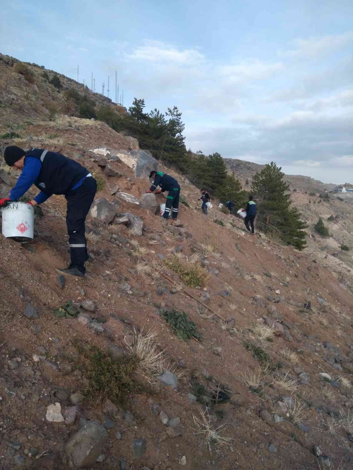Büyükşehir, topladığı 1 ton tohumu yeniden toprakla buluşturdu
