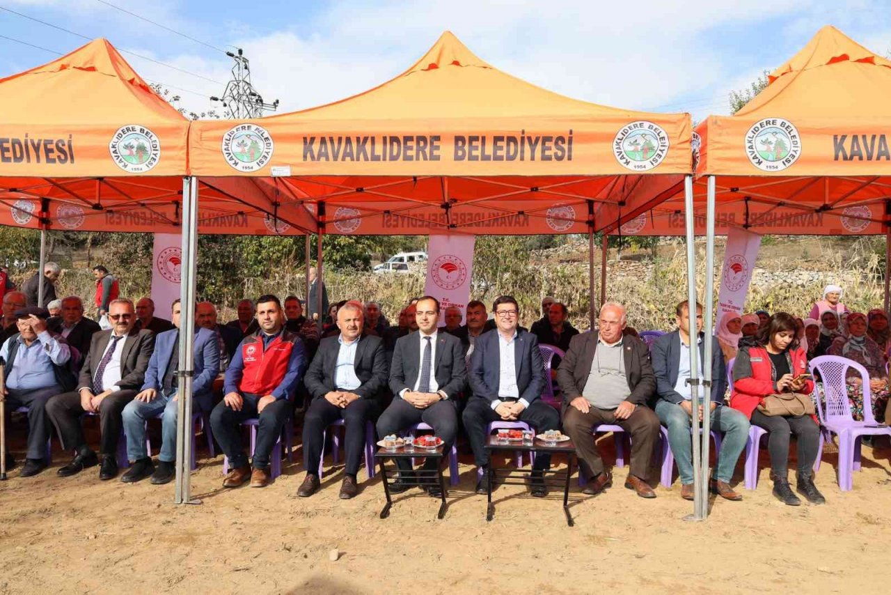 Muğla’da kışlık sebze üretimi projesinde hasat zamanı