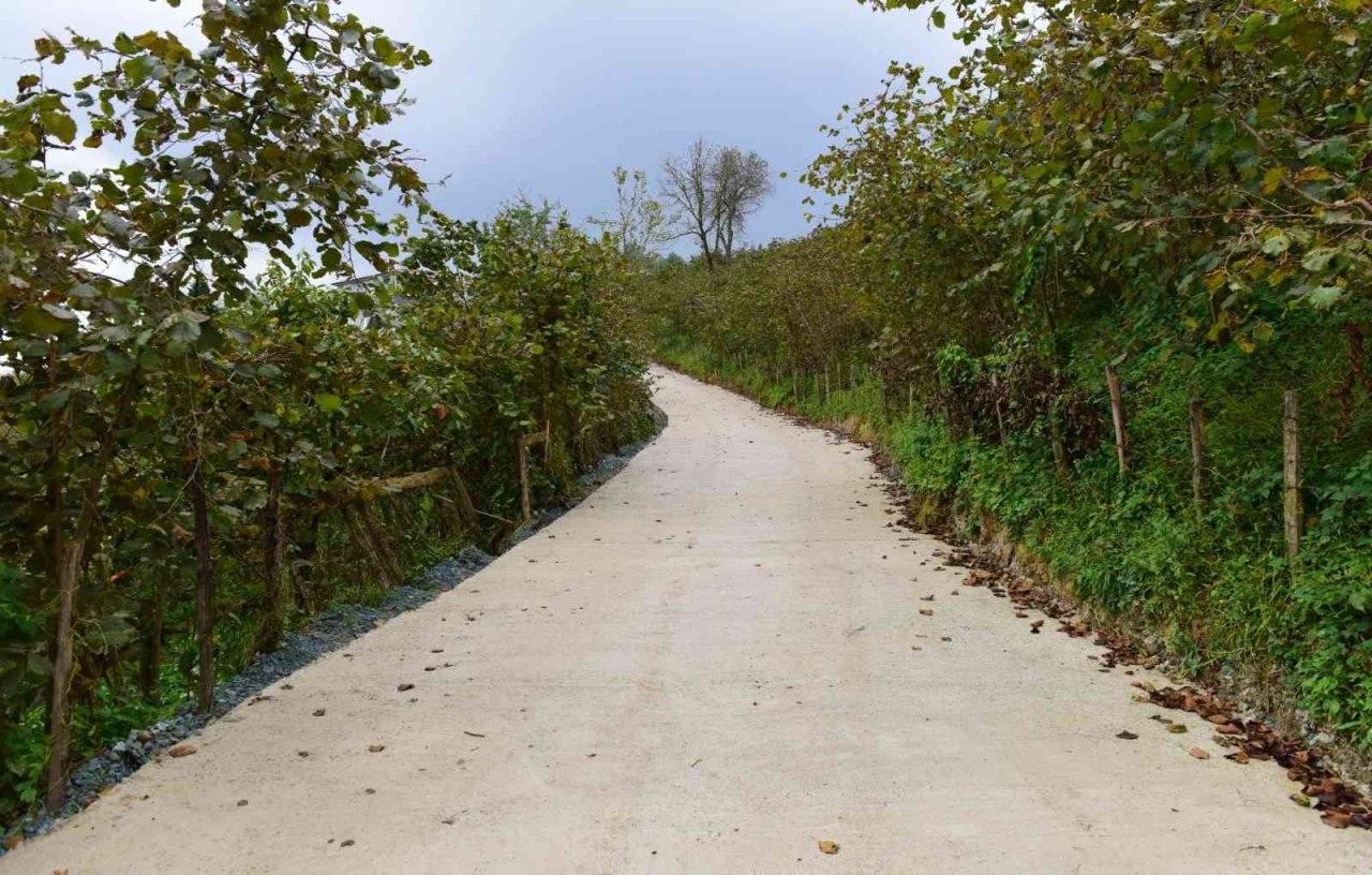 Altınordu’da beton yol çalışmaları sürüyor