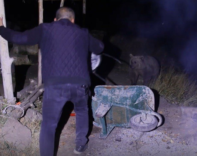 Piknikçilerin ayı ile imtihanı