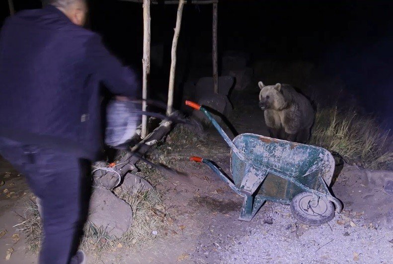 Piknikçilerin ayı ile imtihanı