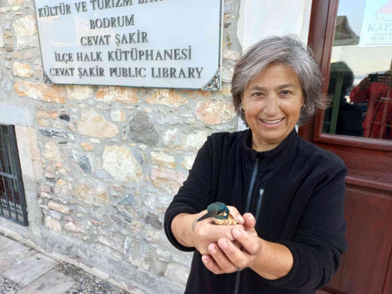 Yalıçapkını, bitkin halde bulundu