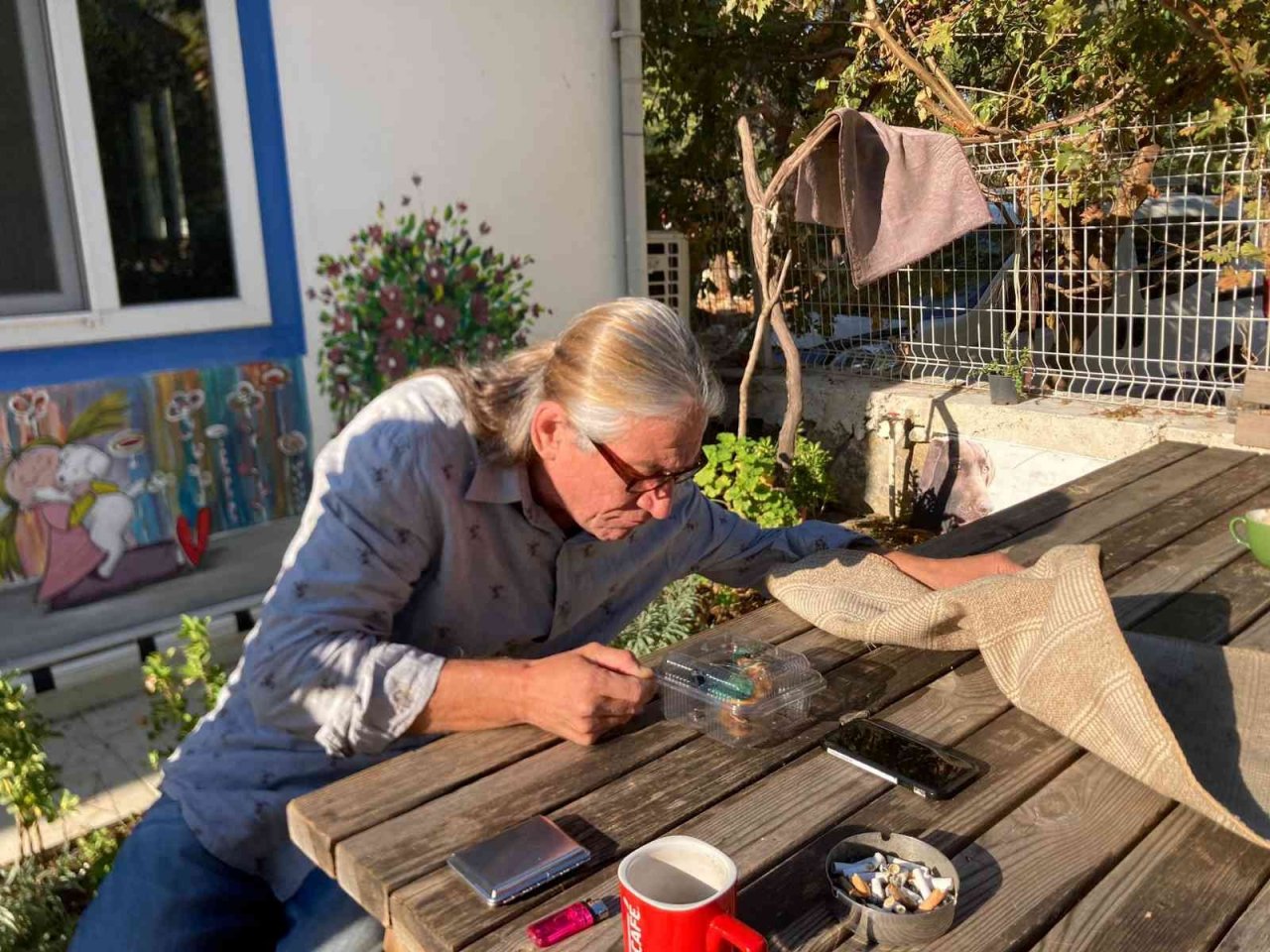 Yalıçapkını, bitkin halde bulundu