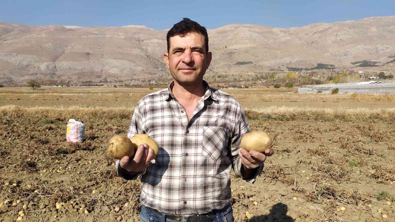 Yaylada patates hasadı sona erdi