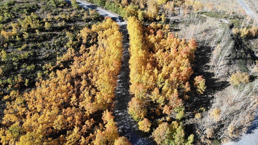 Nemrut Jeoparkı’nın UNESCO ağına alınması için çalışmalar sürüyor
