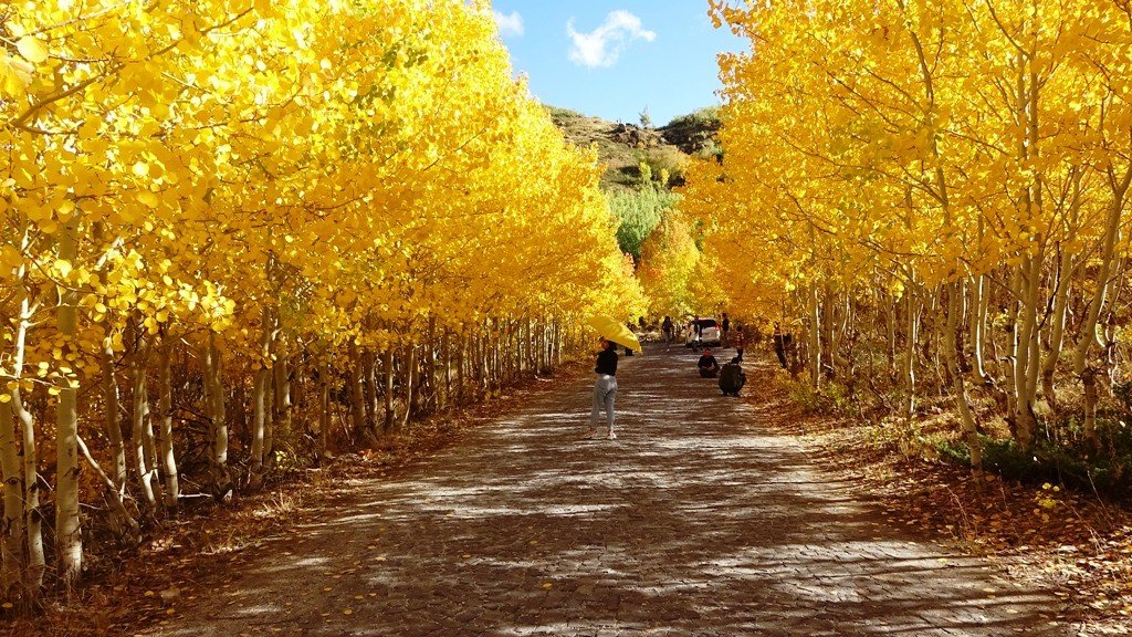 Nemrut Jeoparkı’nın UNESCO ağına alınması için çalışmalar sürüyor