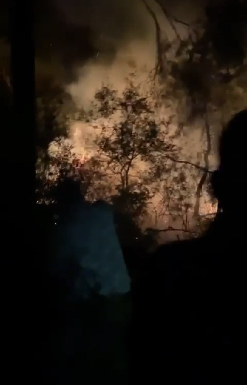 Bursa’da ormanlık alanda korkutan yangın