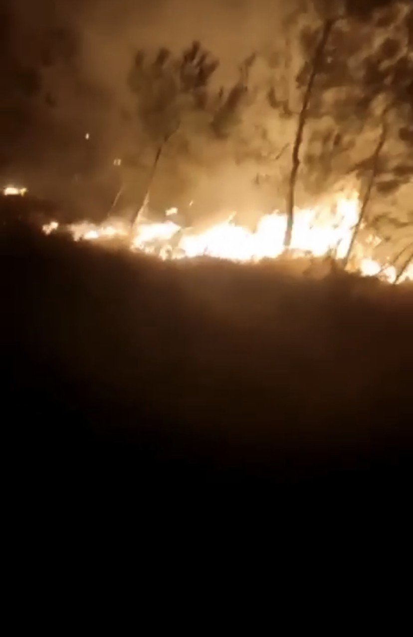 Bursa’da ormanlık alanda korkutan yangın