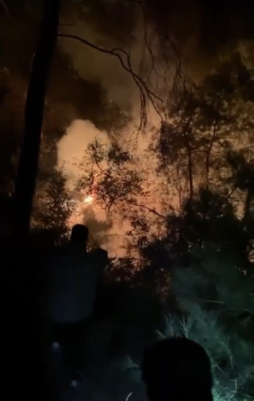 Bursa’da ormanlık alanda korkutan yangın