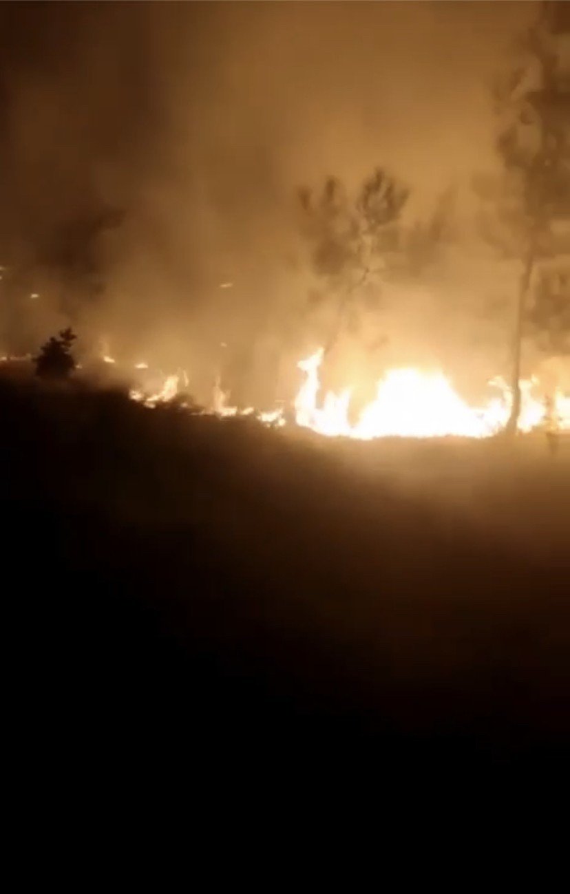 Bursa’da ormanlık alanda korkutan yangın