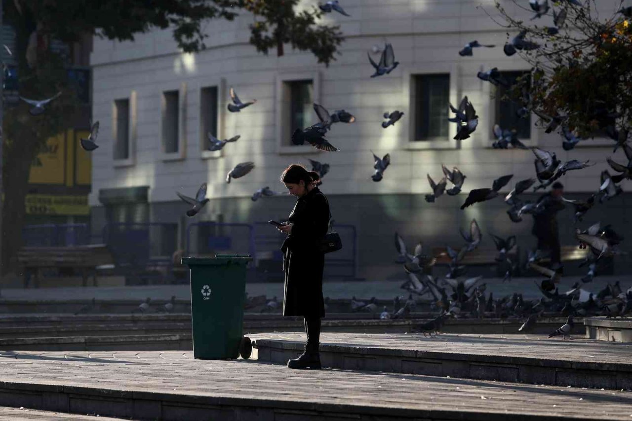 Zeytin toplayan köylü kadınlar tarlada böyle saygı duruşuna durdu