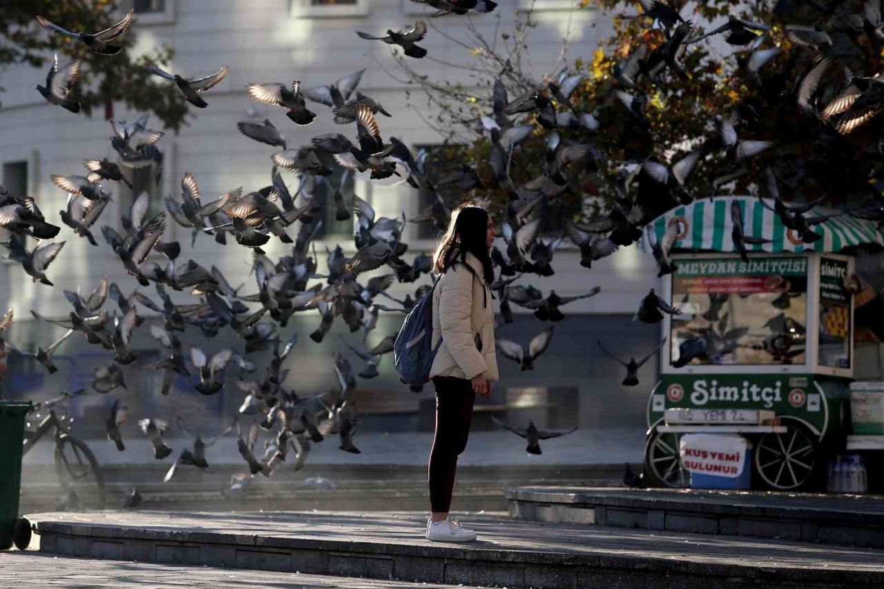 Zeytin toplayan köylü kadınlar tarlada böyle saygı duruşuna durdu