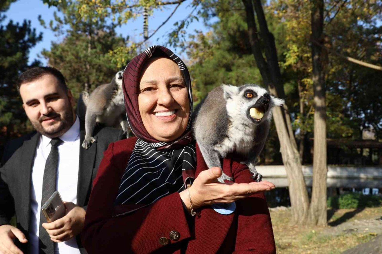 Bursa Hayvanat Bahçesi 24 yaşında