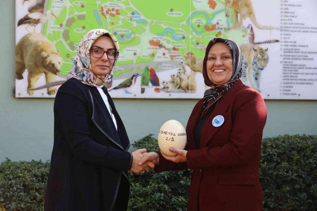 Bursa Hayvanat Bahçesi 24 yaşında