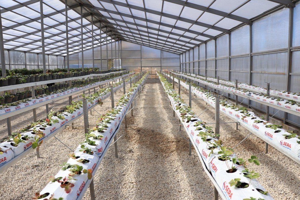 Katık atık tesisi ilk meyvelerini verdi