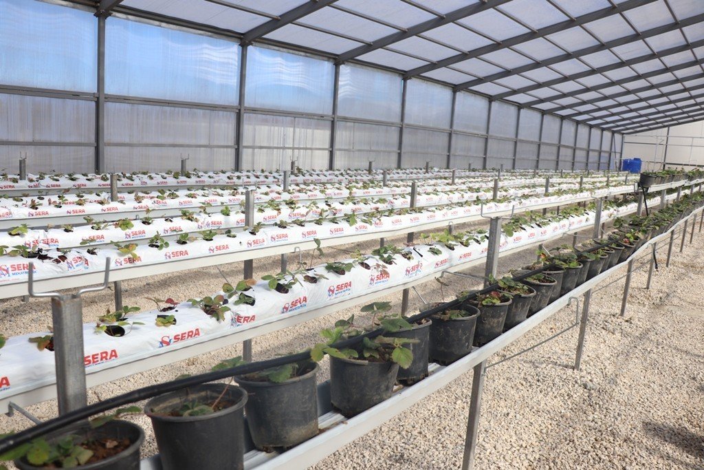 Katık atık tesisi ilk meyvelerini verdi