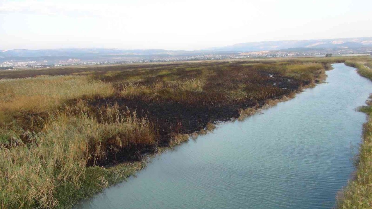 Göksu Deltası’ndaki yangın kendiliğinden söndü