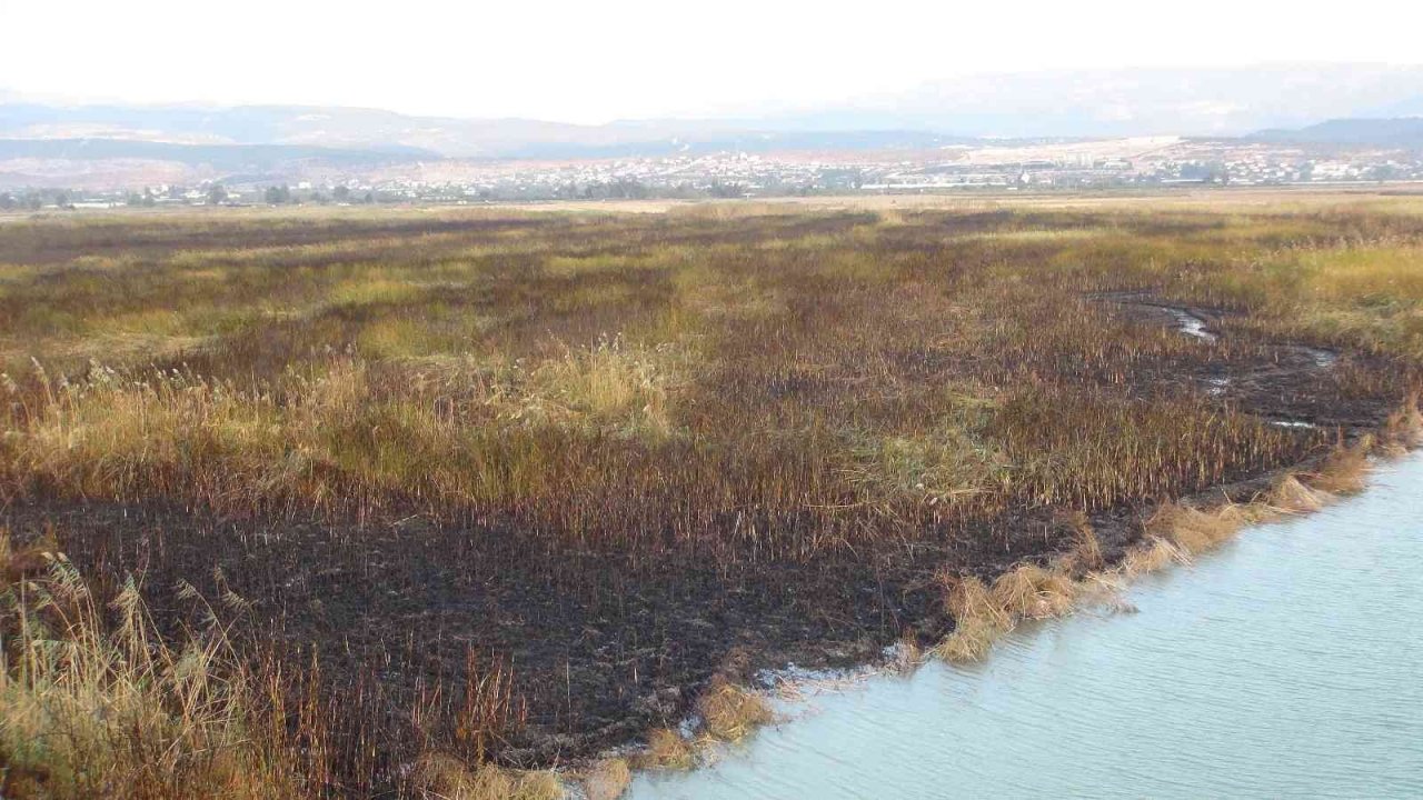 Göksu Deltası’ndaki yangın kendiliğinden söndü