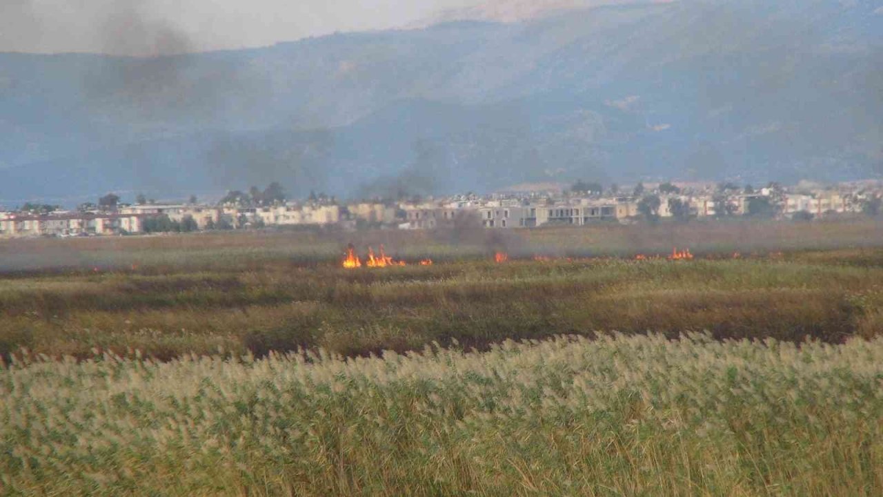 Göksu Deltası’ndaki yangın kendiliğinden söndü
