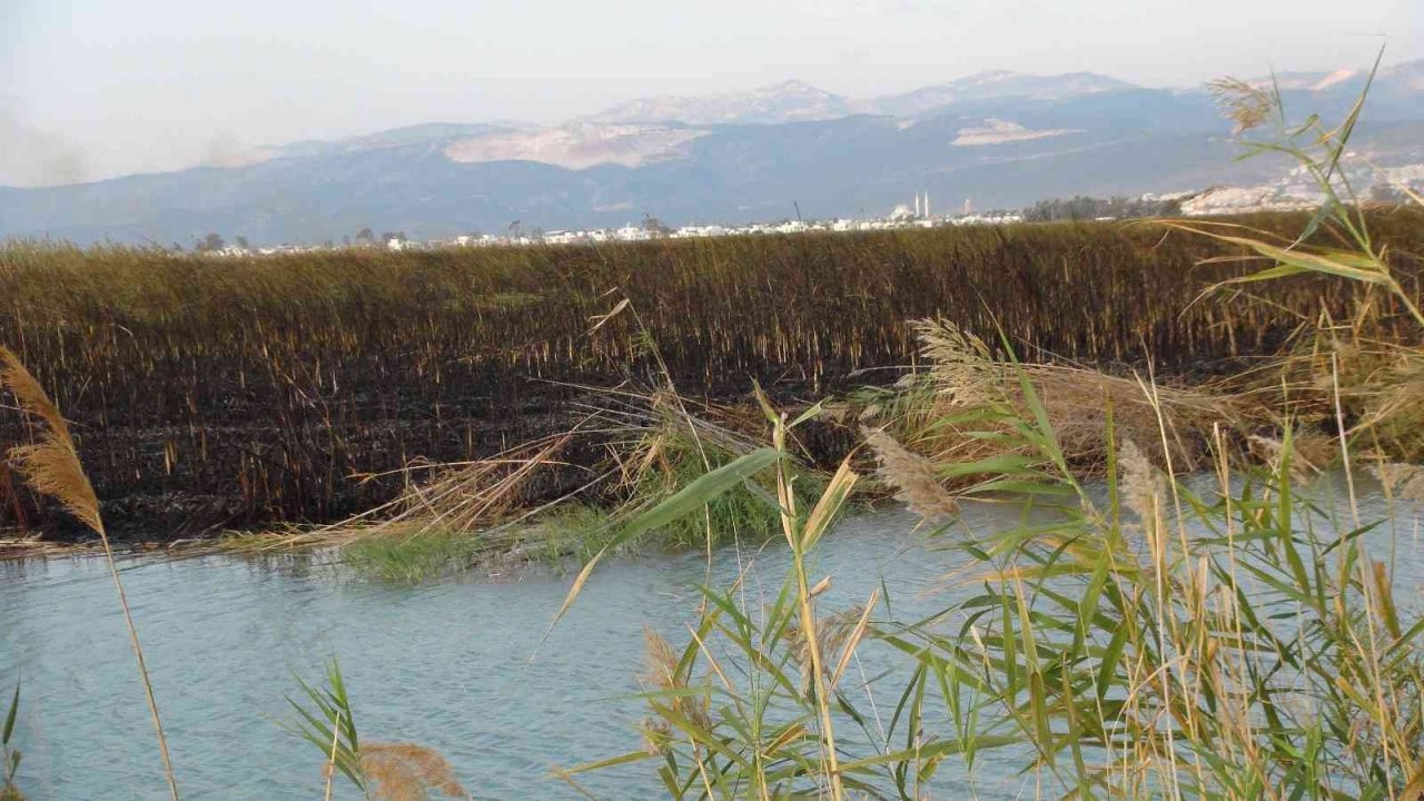 Göksu Deltası’ndaki yangın kendiliğinden söndü
