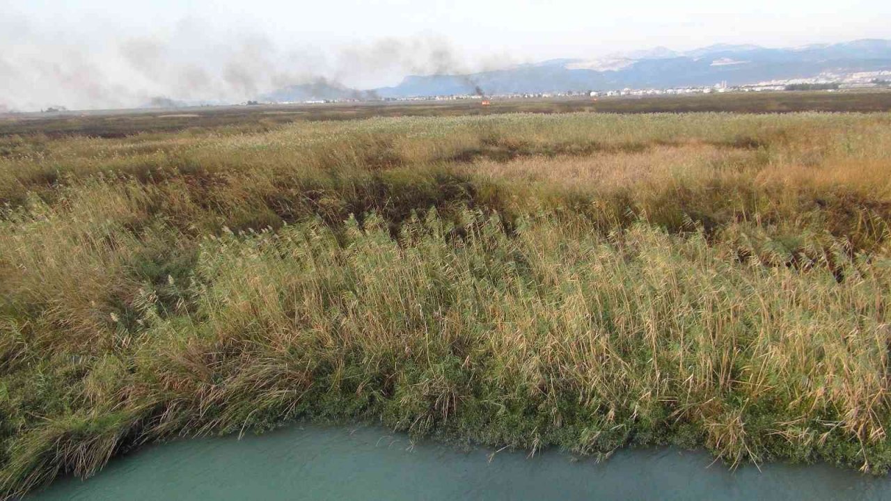 Göksu Deltası’ndaki yangın kendiliğinden söndü