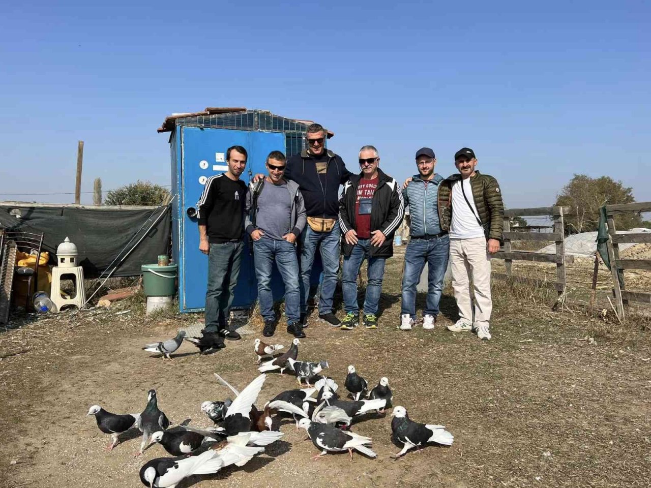 Güvercinlerin performansı tam not aldı