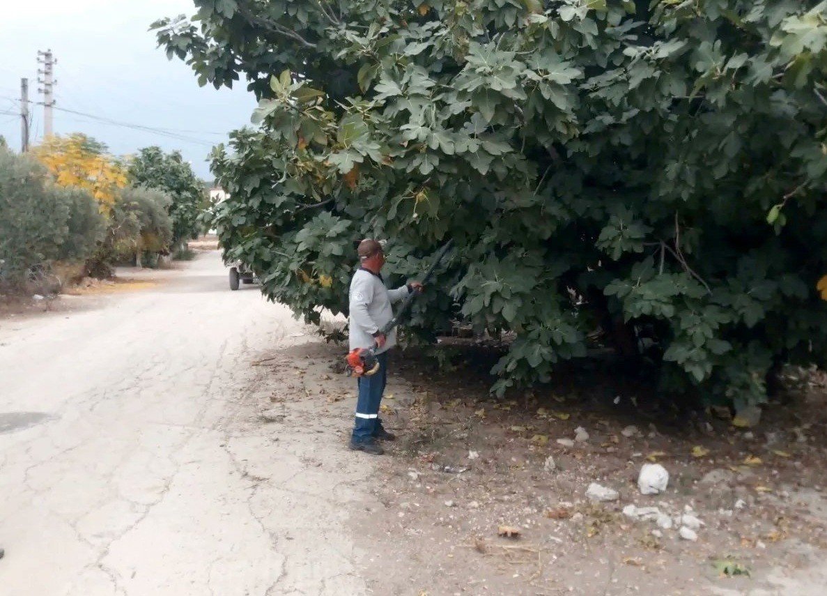 Kadirli’de görüşü engelleyen ağaçlar budanıyor