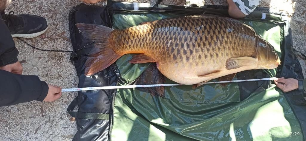 Türkiye’nin en büyüğü olarak kayıt altına alındı