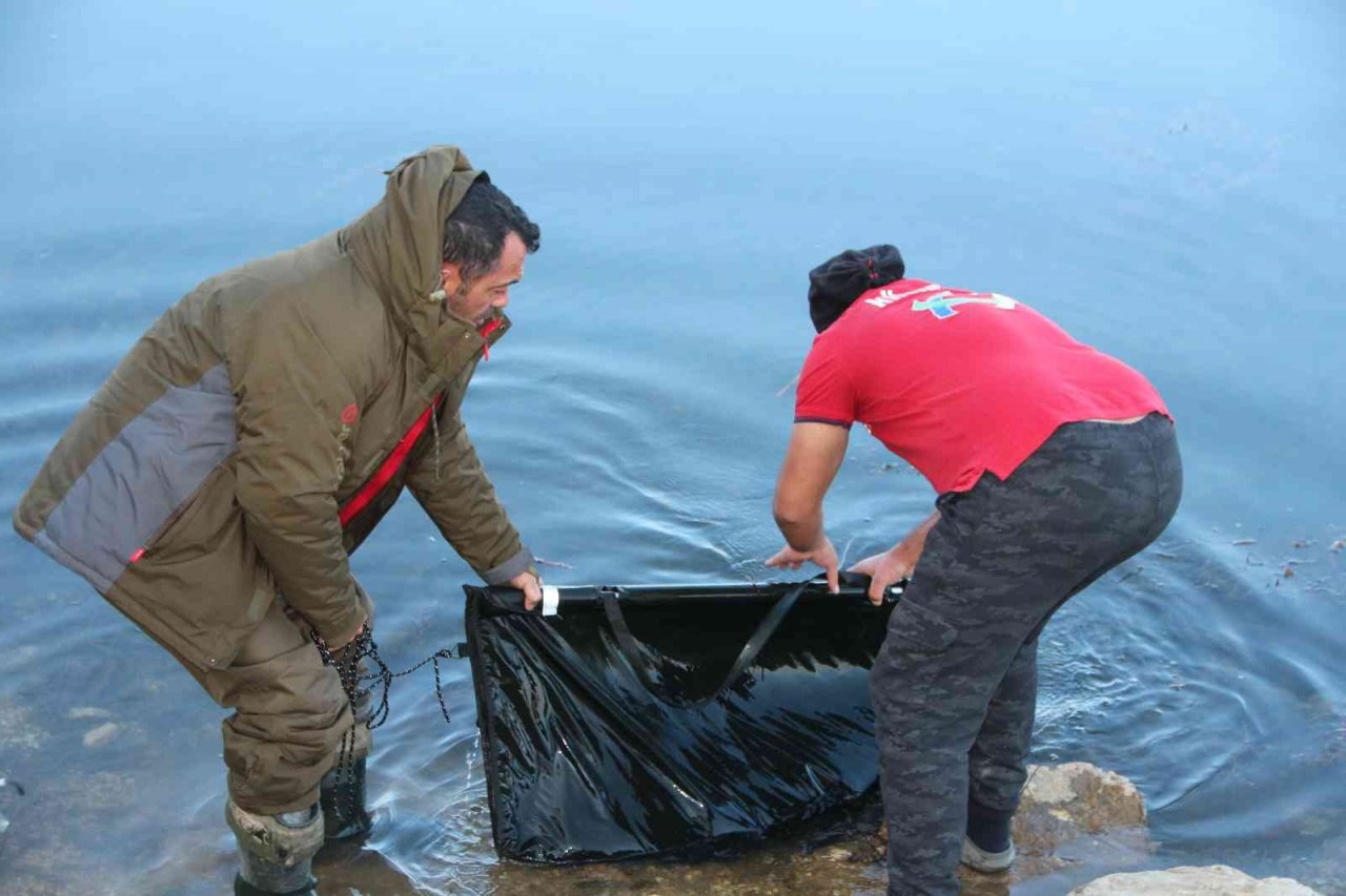 Türkiye’nin en büyük sazanı Bilecik’te yakalandı