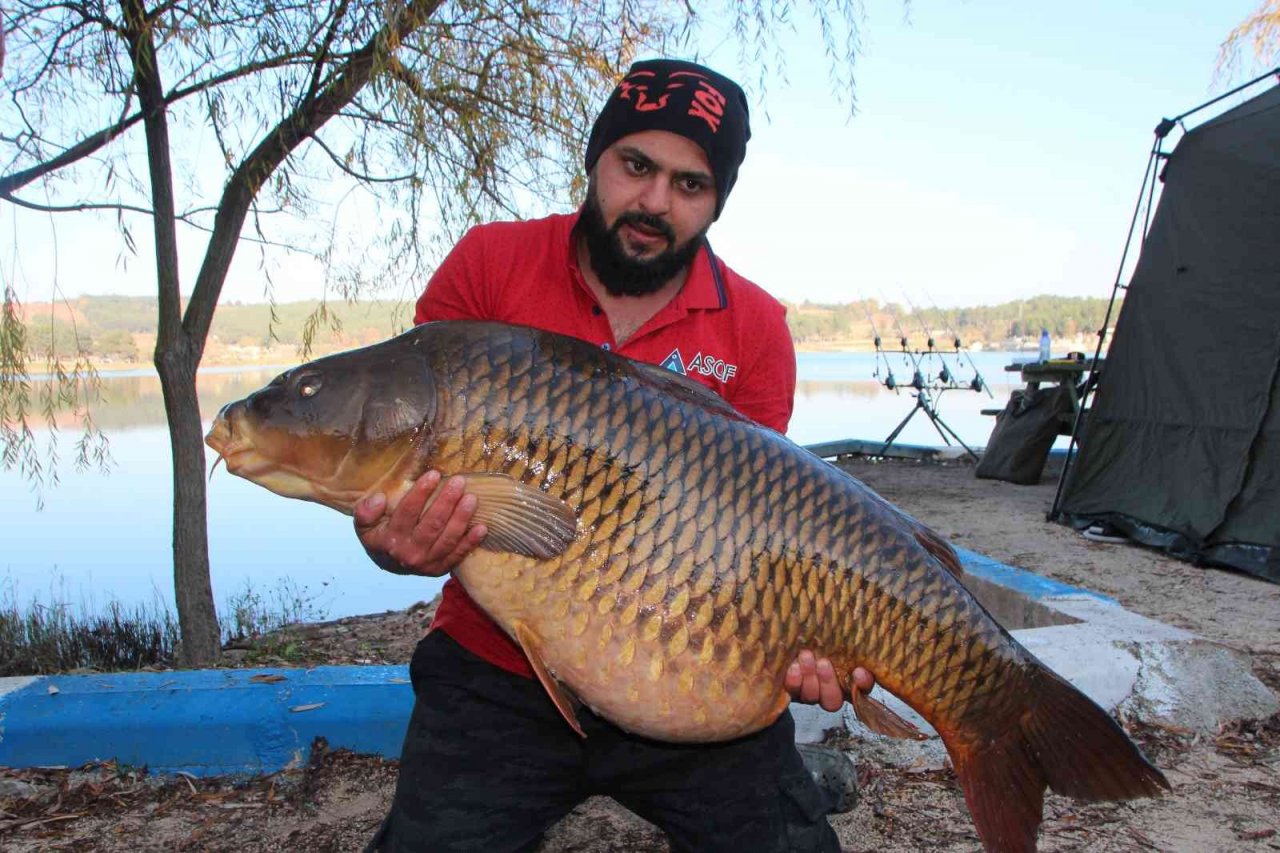 Türkiye’nin en büyük sazanı Bilecik’te yakalandı