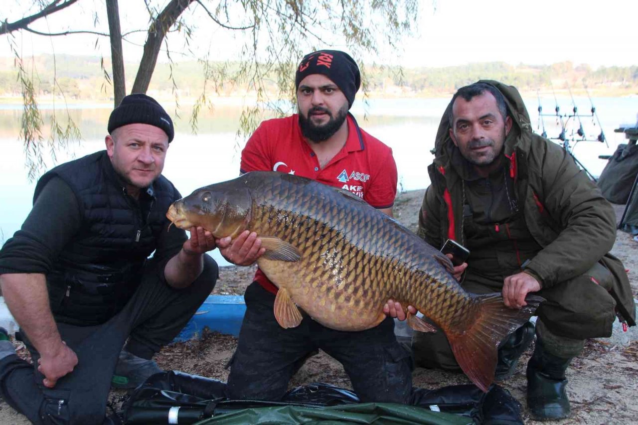 Türkiye’nin en büyük sazanı Bilecik’te yakalandı