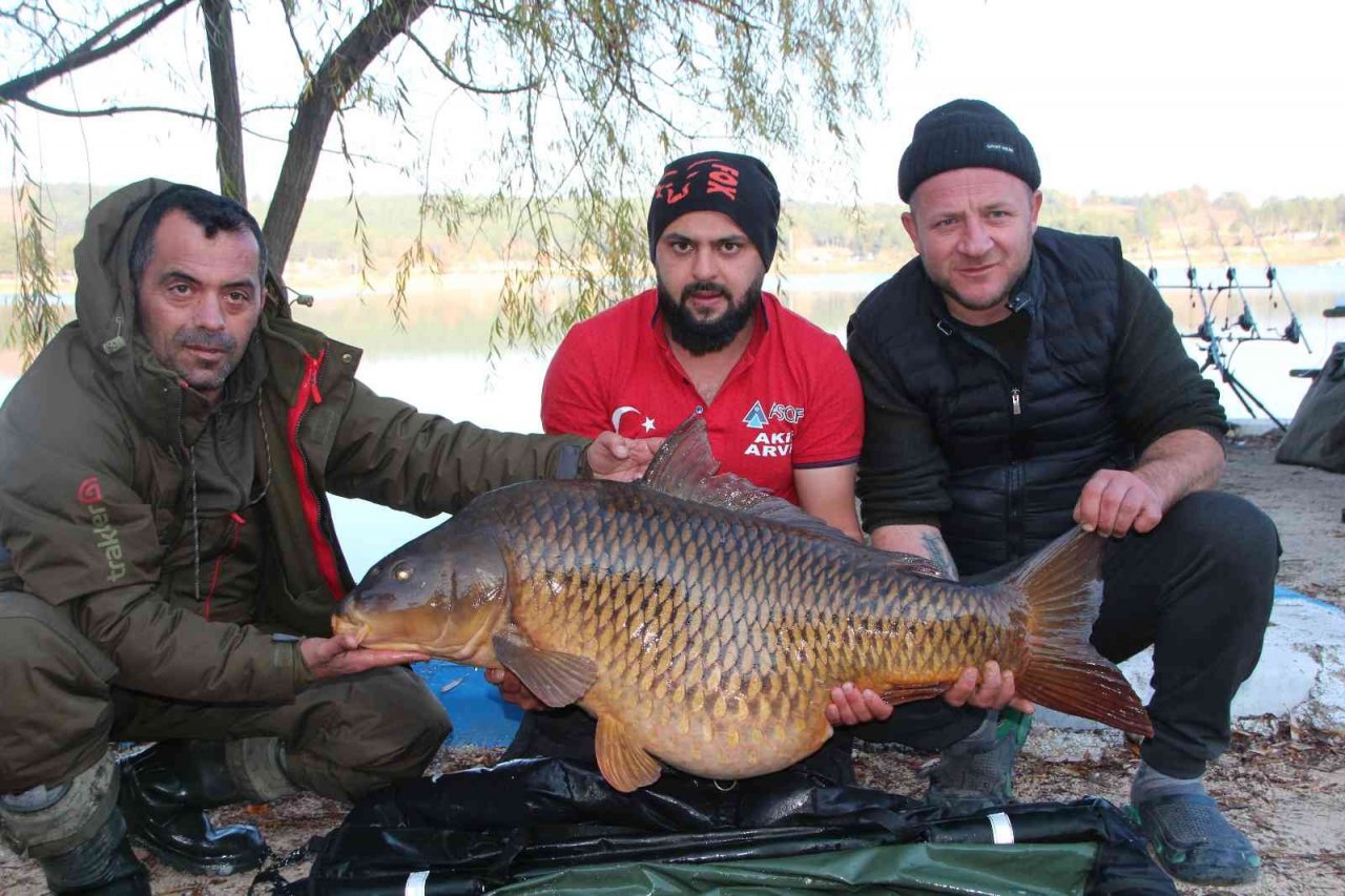 Türkiye’nin en büyük sazanı Bilecik’te yakalandı