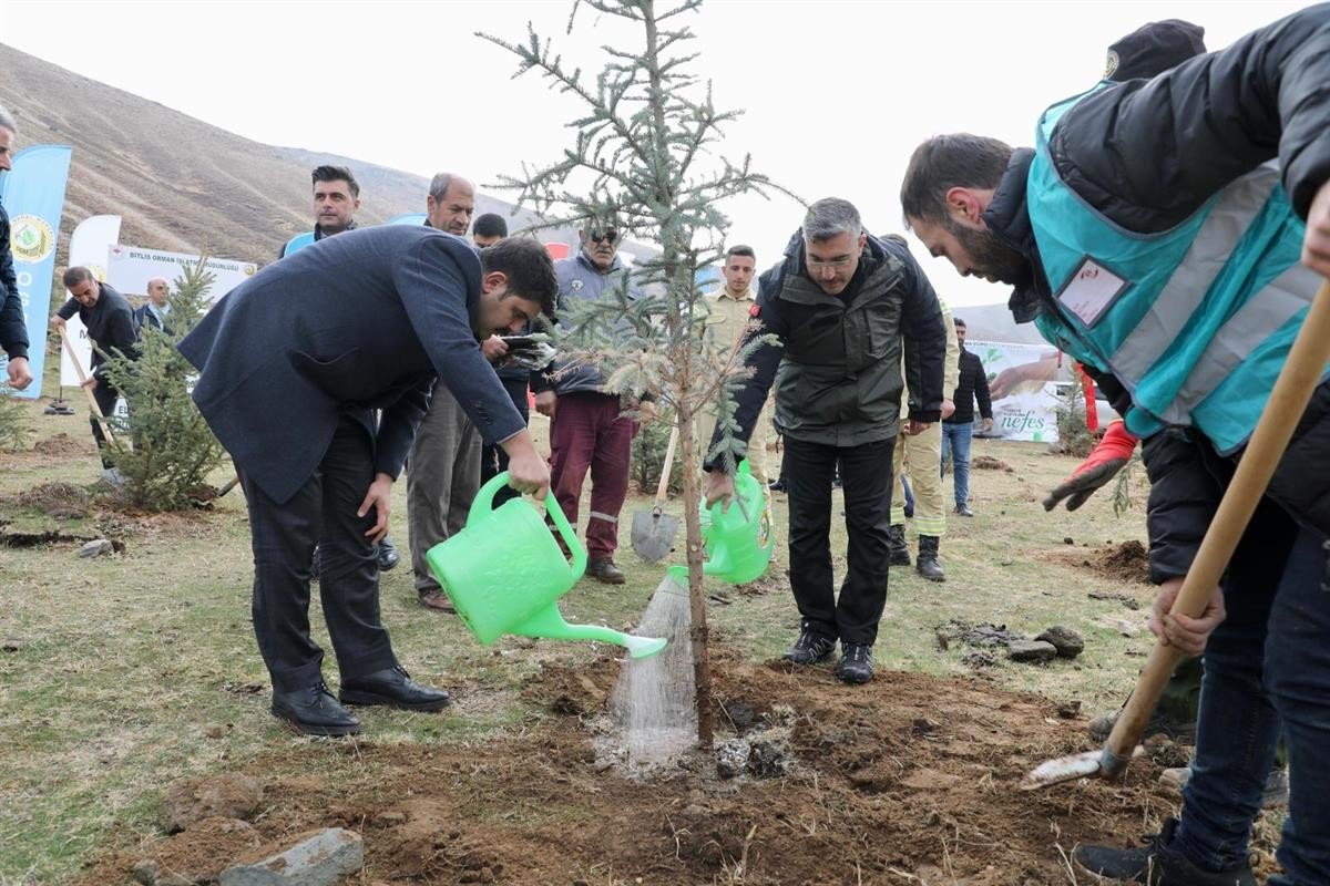 Bitlis’te 3 bin fidan dikildi