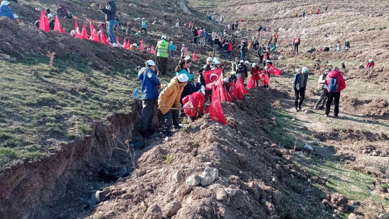 Yüzlerce fidan toprakla buluştu