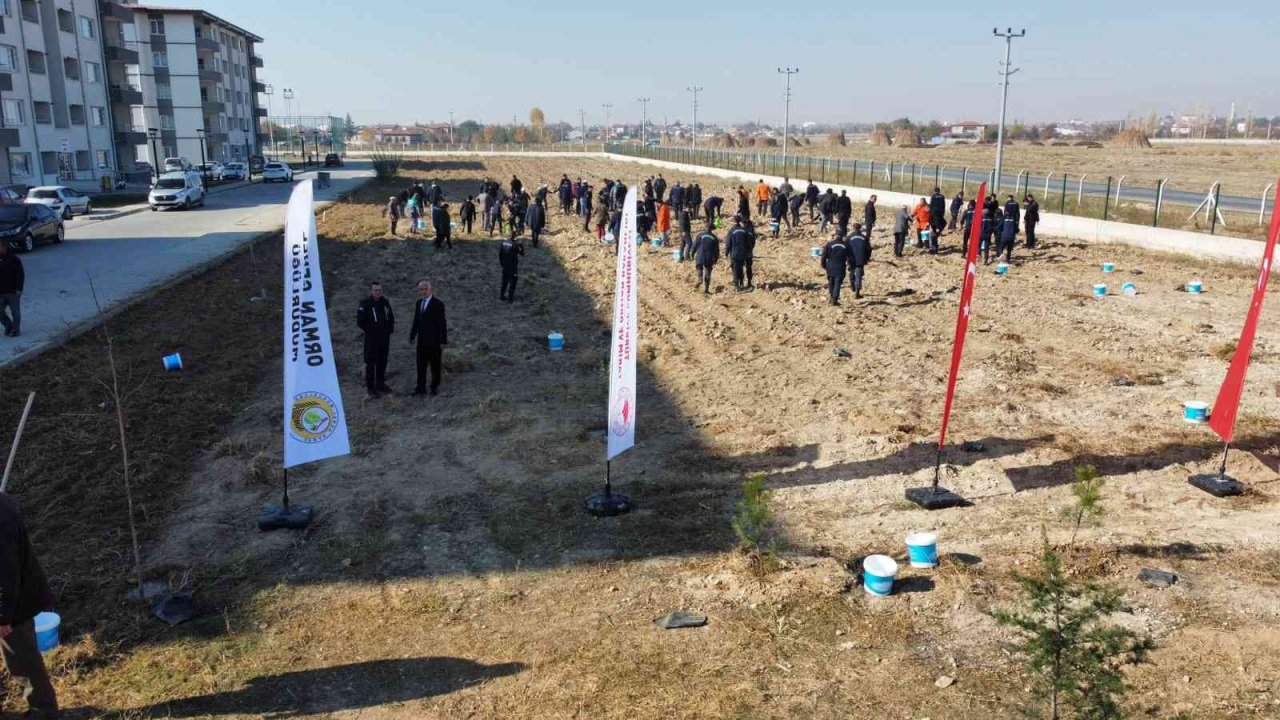 Bolvadin’de 600 fidan toprakla buluştu