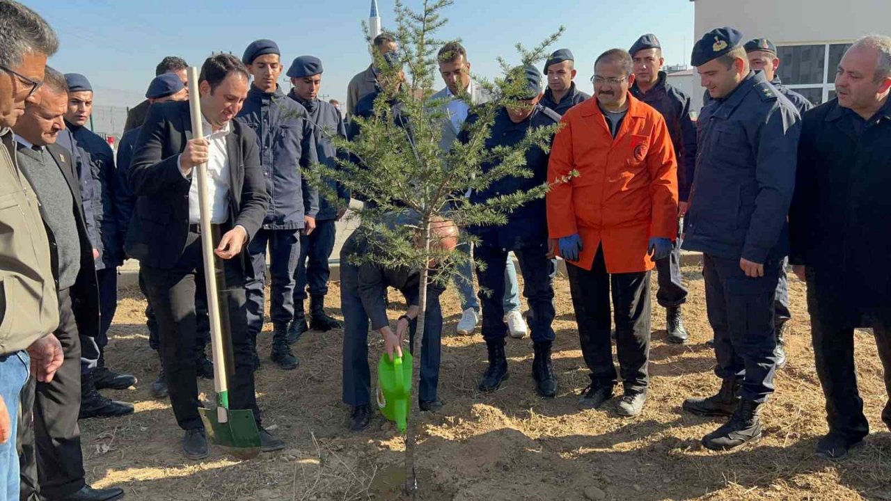 Bolvadin’de 600 fidan toprakla buluştu