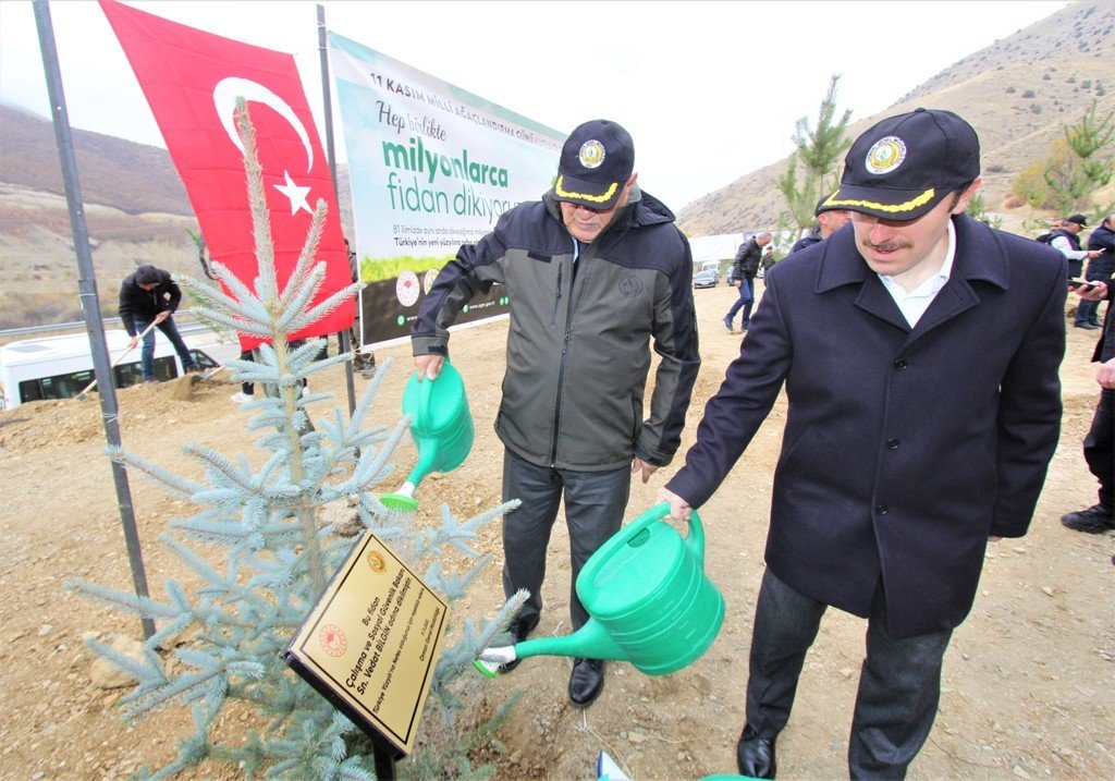 Bayburt’ta 105 bin adet fidan toprakla buluşturuldu