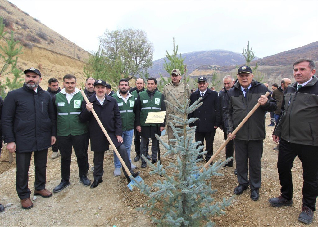 Bayburt’ta 105 bin adet fidan toprakla buluşturuldu