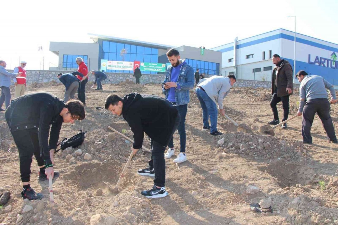 Sungurlu’da 800 fidan toprakla buluştu